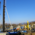 Kieswerk beim Industriehafen