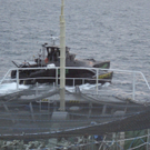 DAB0607-20110218.jpg