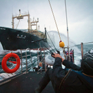 DAB1552-20110216.jpg