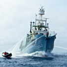 DAB0845-20110201.jpg