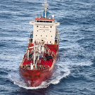 DAB0062-20110113.jpg