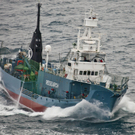 DAB0370-20110106.jpg