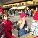 Fasching 2011 Web 17_JPG-1298027643