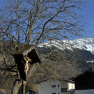 356_bearbeitet-1_jpg-1298055078