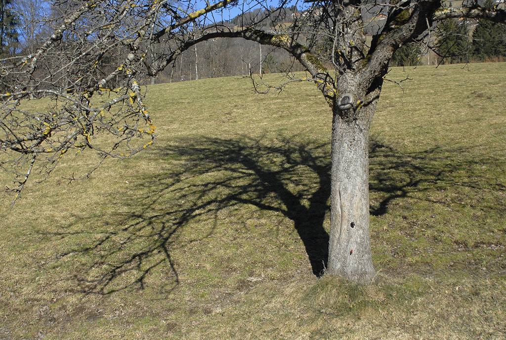 018_bearbeitet-1_jpg-1298129446