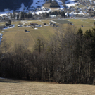 106_bearbeitet-1_jpg-1298130047