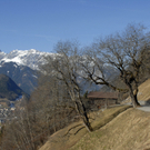 119_bearbeitet-1_jpg-1298130156