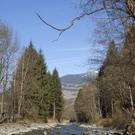 087_bearbeitet-1_jpg-1298185489