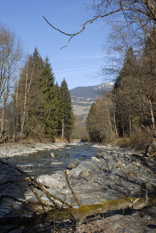 087_bearbeitet-1_jpg-1298185489