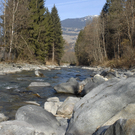 088_bearbeitet-1_jpg-1298185535