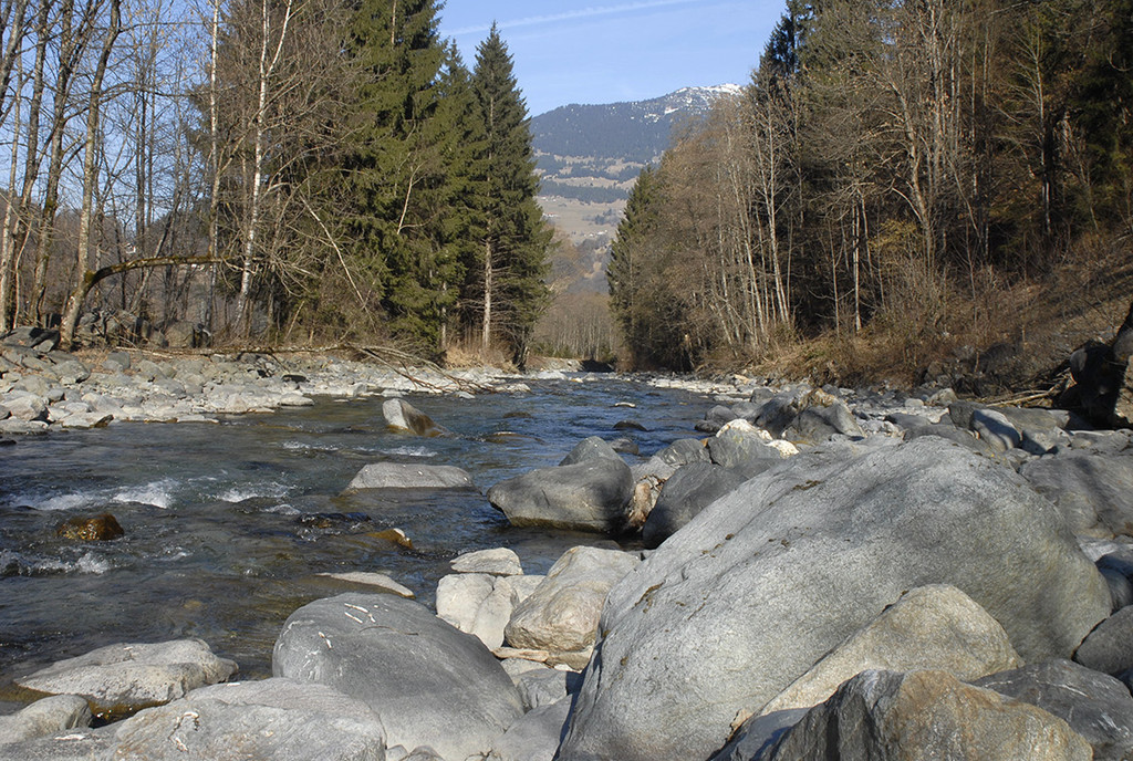 088_bearbeitet-1_jpg-1298185535