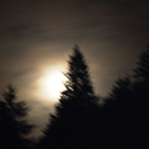 IMG_4731_JPG-1298193572