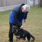 Werner Ender mit seinem jung_ Sch__fer Jucon _01__JPG-1298208846