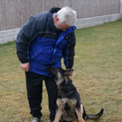 Werner Ender mit seinem jung_ Sch__fer Jucon _02__JPG-1298208852