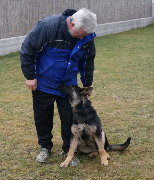 Werner Ender mit seinem jung_ Sch__fer Jucon _02__JPG-1298208852