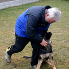 Werner Ender mit seinem jung_ Sch__fer Jucon _04__JPG-1298208868