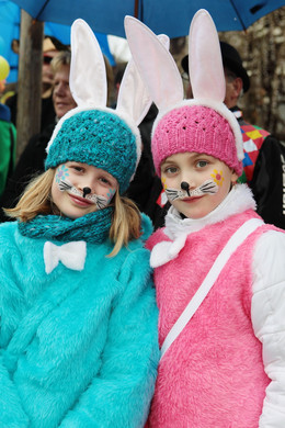 Rungelin 04_Gr____enver__nderung.JPG