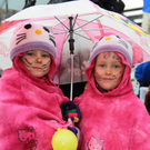 Rungelin 11_Gr____enver__nderung.JPG