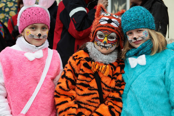 Rungelin 12_Gr____enver__nderung.JPG