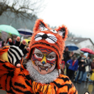 Rungelin 13_Gr____enver__nderung.JPG