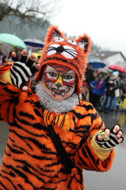 Rungelin 13_Gr____enver__nderung.JPG