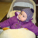 DSC03443_JPG-1298217095