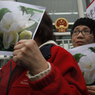 DAB1397-20110220.jpg