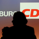 IBD0855-20110220.jpg