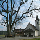 Die Kapelle 2011