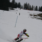 Landesmeisterschaft Ski