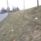 IMG_6914_JPG-1298295361