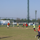 DSC00193_jpg-1298296677