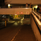 IMG_8376.jpg
