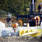 109_3460_jpg-1298324601