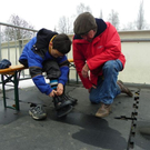 109_3670_jpg-1298332383