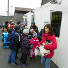 109_3672_jpg-1298332385