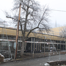 IMG_4675.JPG