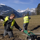378_bearbeitet-1_jpg-1298377456
