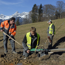 388_bearbeitet-1_jpg-1298377513