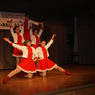 FC Ball 2011 _10__JPG-1298450982