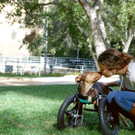 Pets_Celebrity_Dog_NYLS506.jpg