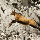 Nationalpark Gesäuse: Atemberaubende Natur