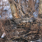 normal_230211vua10ga_0069.jpg