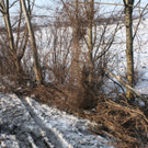 normal_230211vua10ga_0084.jpg