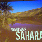 22_2_11 141_jpg-1298504939