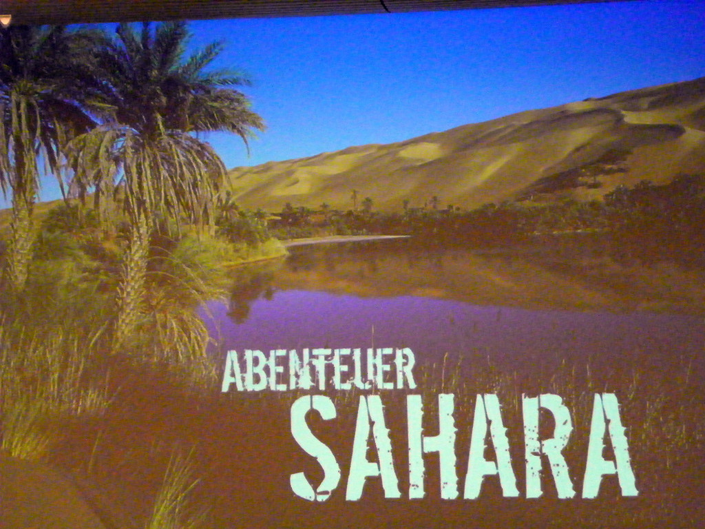 22_2_11 141_jpg-1298504939