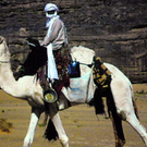 22_2_11 160_jpg-1298504908