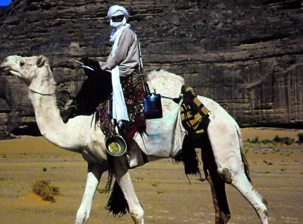 22_2_11 160_jpg-1298504908