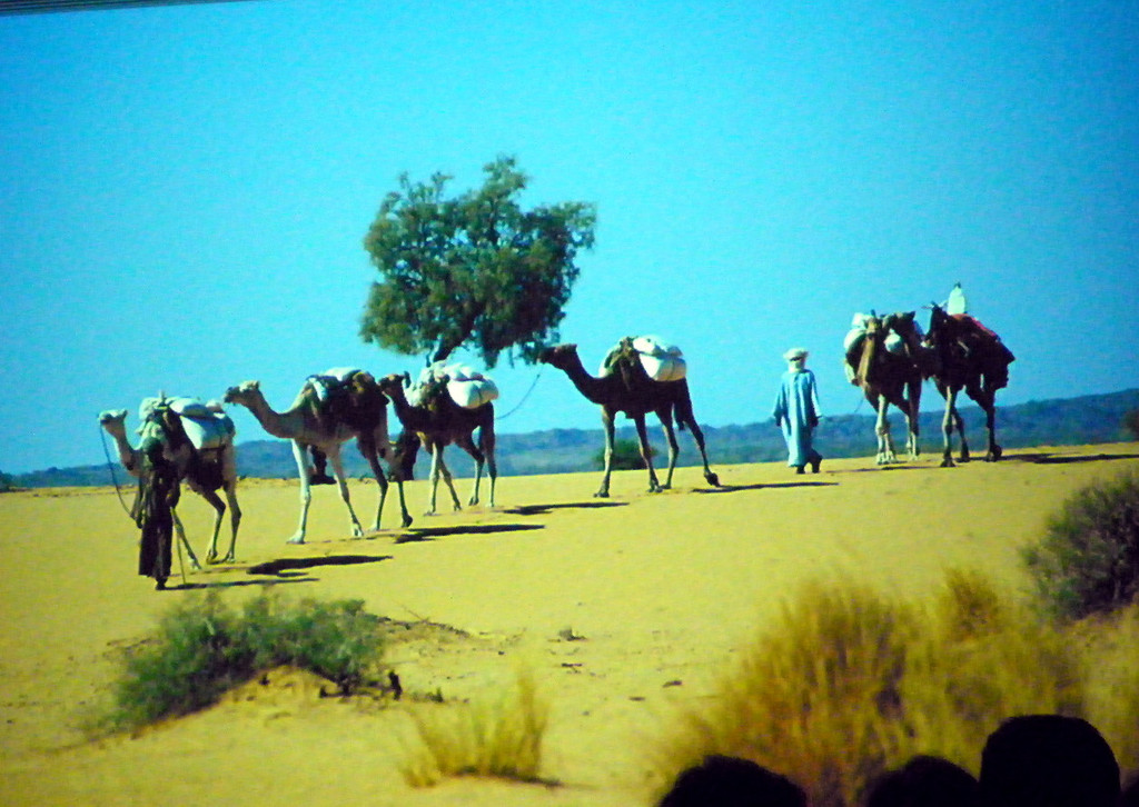 22_2_11 164_jpg-1298504920