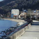 IMG_0778.jpg